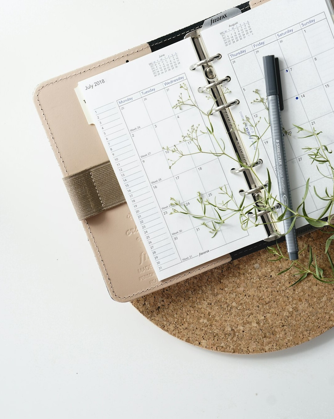 daily routine planning