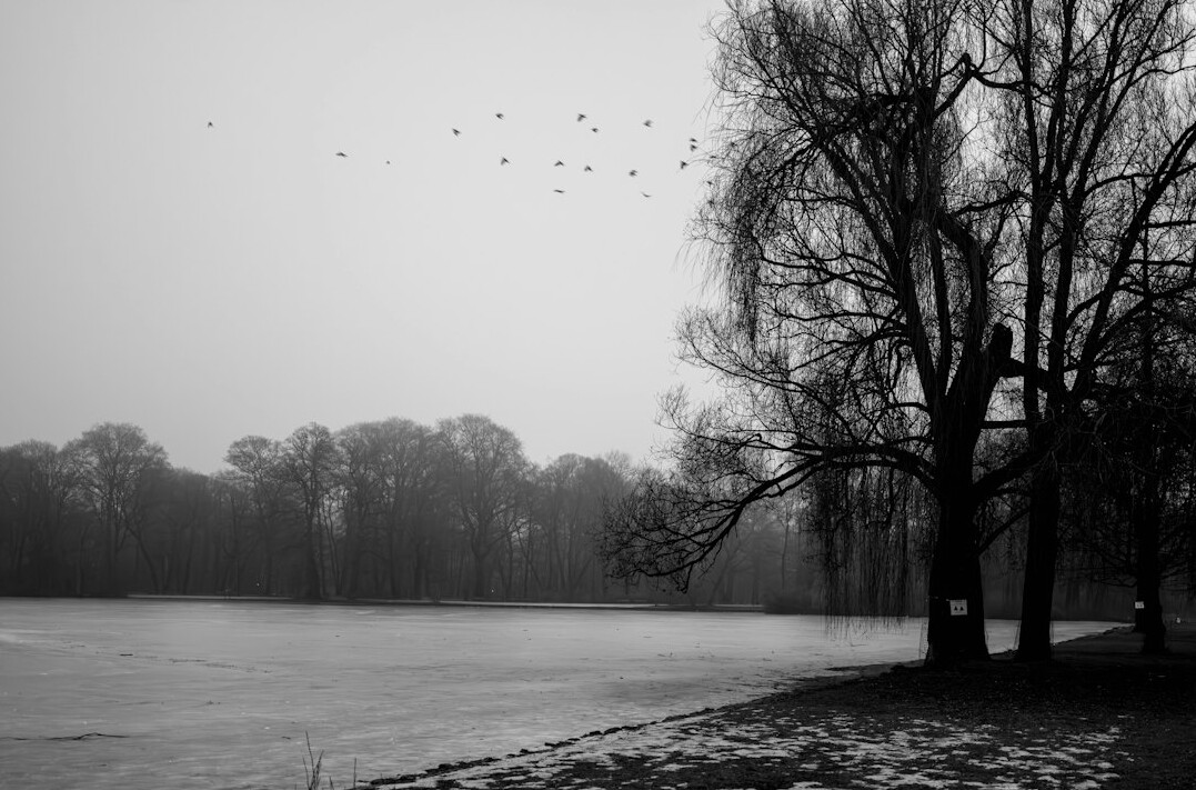 person reflecting in quiet space